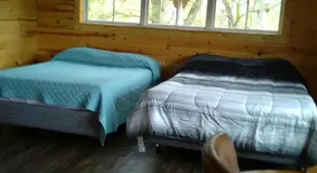 Peaceful Valley Haven Tree House - Image 5