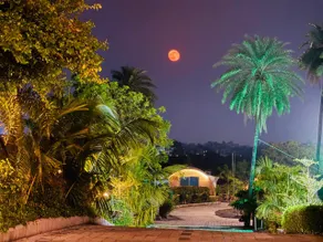 Palm Beach Resort - Image 3