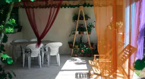NOVEL HOUSE - Image 4