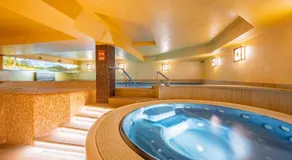 David Wellness Hotel - Image 2