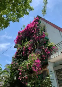 Nhà nghỉ Thu Ngân - Image 3