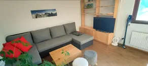 Bussalp Apartment - Aare Jungfrau AG - Image 2