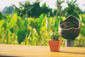 Bo Bo Mi B&B - Image 4