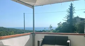 Colibrì - Image 3