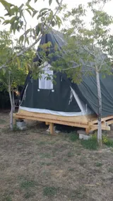 AgriCampeggio Darwin - Image 4