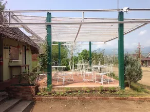 Odour Pai - Image 3