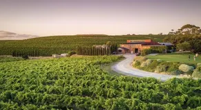 Beach&Winery Retreat with Premium King, 2Queen, 5BR 2Bath, Netflix, sleeps 12, Max 13,sofa bed upon request with extra fee - Image 3