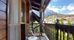 Casa Rosca Busteni - Image 3