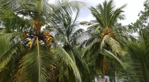 Wild View Stay - Image 4
