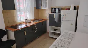 ARAD Chic Apartament UTA - Image 4