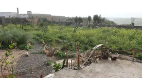 Ait Mouli Agdal Retreat - Image 4