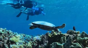 ISLANDSTAY珊瑚Tokashiki旧旅館村元 - Image 2