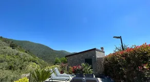 The Garden - Image 4