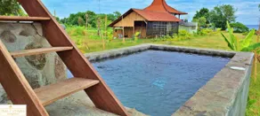 A Mango Tree House with a private swimming pool - Image 4
