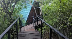 The Wild Yala - Image 5