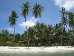Treasure Island Beach Bungalows - Image 4