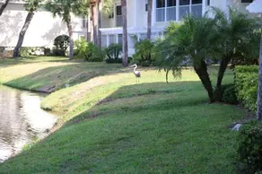 Ground floor 2BDR Condo In Farmington Vistas on Plantation Golf and CC with Pool - Image 1