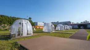 Dongshan Xiaozhu Hotel - Image 4