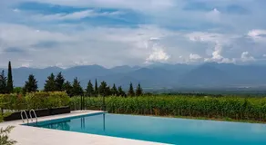 Vazisubani Estate - Image 3