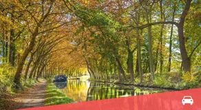 " Le Gaillac " Clim - Wifi - Linge fourni - Image 5
