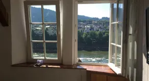 Natur und Neckarblick bei Heidelberg - Image 3
