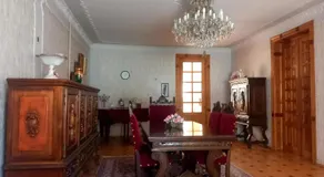 Guli - Image 2