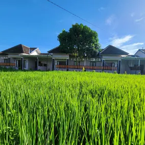 Homestay PUFA 1 - Image 3
