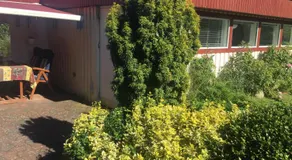Risskov Bellevue Guesthouse - Image 5