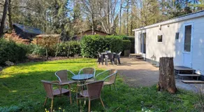 Gezellig chalet voor gezinnen op de Veluwe I Veldkamp F16 - Image 5