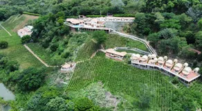 Viña Sicilia Hotel y Viñedo - Image 4