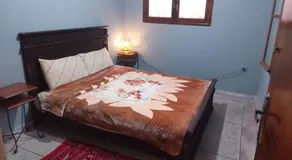 PalmTree - Image 2