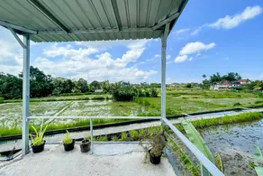 Winy House - Image 4