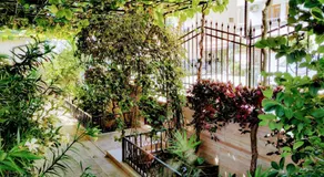 Dracena Guesthouse - Image 5