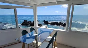Nido de mar & Nido de Paola - Image 5