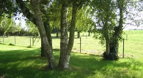 The Cosy Hill - Image 2
