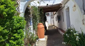 Casita Tomate - Image 4