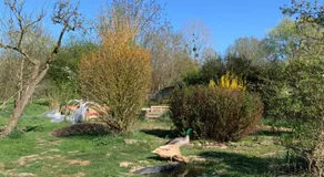 Au bois de mon coeur - Image 5