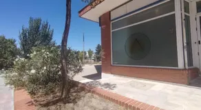 Alexa Host Vallecas - Image 3
