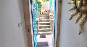 Little garden - Image 5