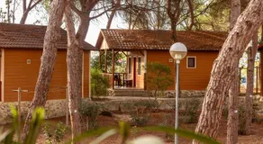 TAIGA Puerto Santa María - Image 4