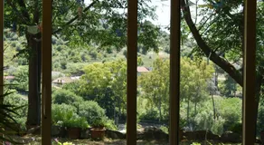 Le tre querce di casa mia - Image 3