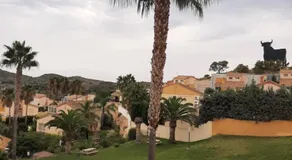 el toro - Image 4