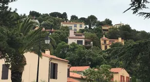 Les Chênes-lièges d'Ambeille - Image 4