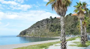 Agrodolce - Image 5