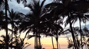 Bele Beach Front Inn - Image 3