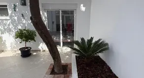 casa patio limon - Image 5