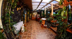 Pension Restaurant Speranta - Image 2