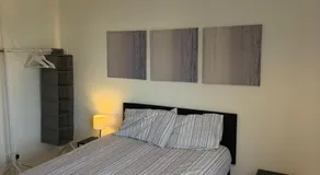 Mimosa - 3 bedroom flat - Colchester, London - Image 2