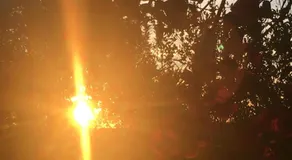 Tiny house natura - Image 5