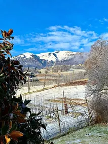 Villa Magnolia Oliveti relax e privacy con panorama mozzafiato - Image 3